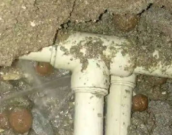 舞钢测漏水多少钱