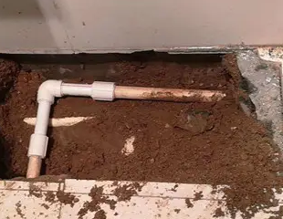 舞钢测漏水哪家好