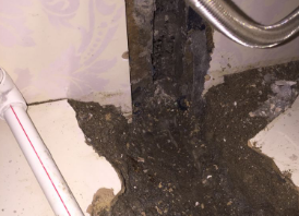 舞钢卫生间测漏水哪家好