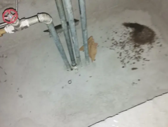 舞钢卫生间测漏水价格明细