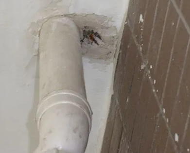 舞钢漏水检测哪家好